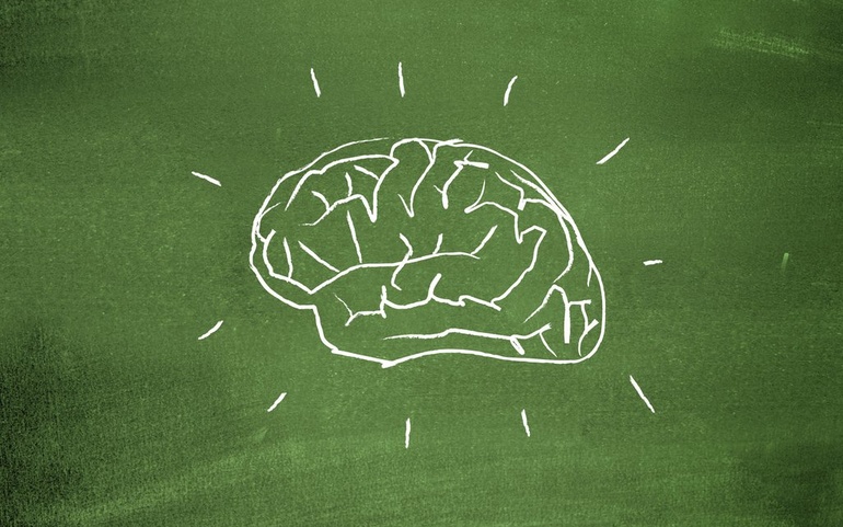 Hjerne - © www.colourbox.no Hjerne