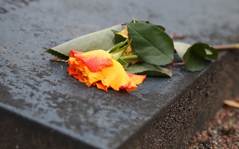 Savn/blomst - © www.colourbox.no Savn/blomst