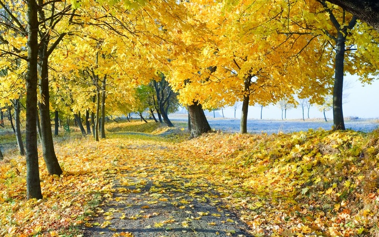 Høst - © www.colourbox.com Høst