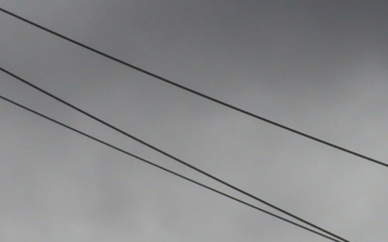 PIC_0158.JPG